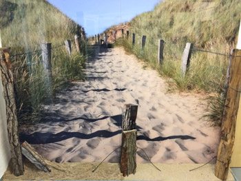 3-D-Bild Dünenweg